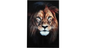 BILDE Lion 60x90 glas, en produkt av hög kvalitet till bra pris från Ulfåsa möbler