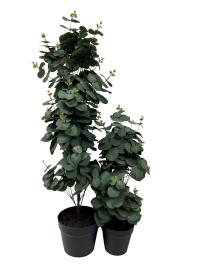VIRIDIS Eucalyptus planta i kruka H78, en produkt av hög kvalitet till bra pris från Ulfåsa möbler