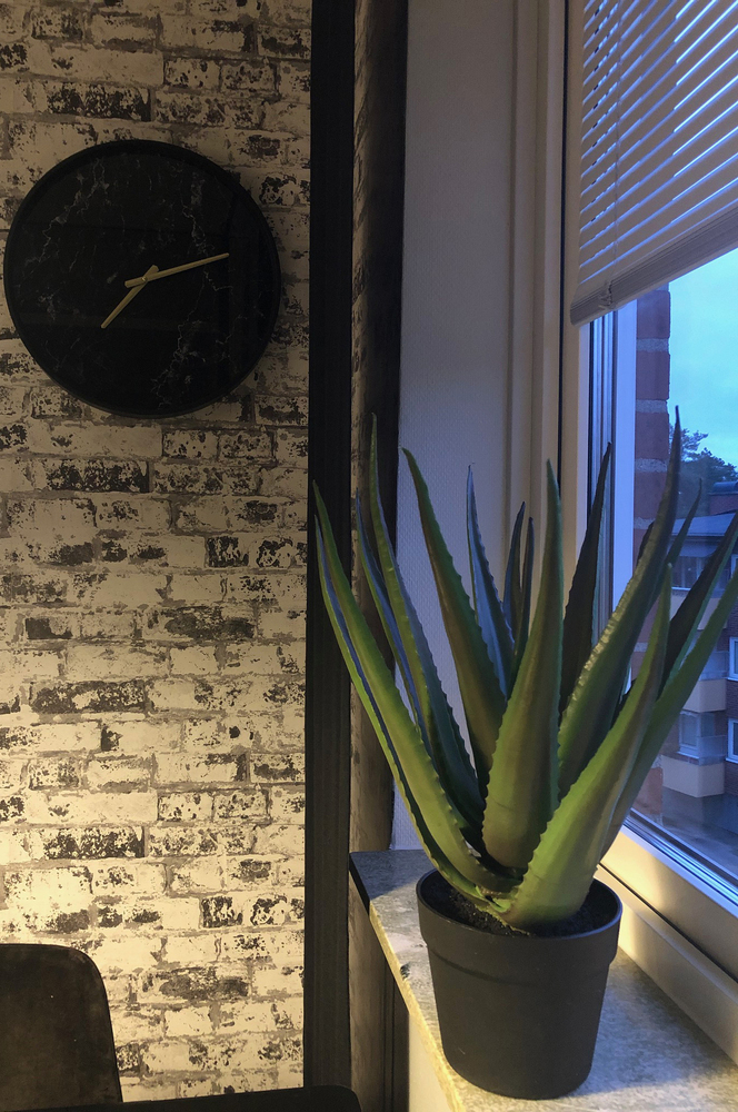 ALOVERAPLANTA , H50  , en produkt av hög kvalitet till bra pris från Ulfåsa möbler