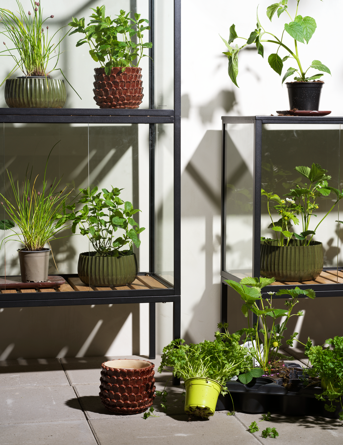 Grower Greens Växtskåp Svart, en produkt av hög kvalitet till bra pris från Ulfåsa möbler