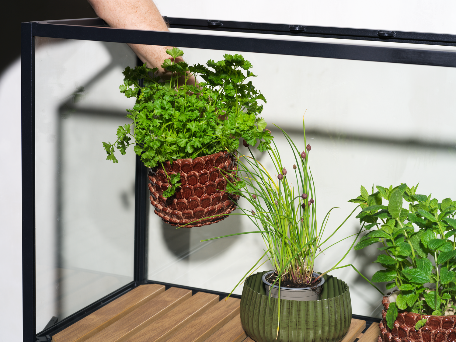 Grower Greens Växtskåp Svart, en produkt av hög kvalitet till bra pris från Ulfåsa möbler